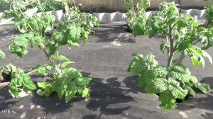 Почему меня нет на канале ЮТУБ? Отвечаю на вопросы зрителей.