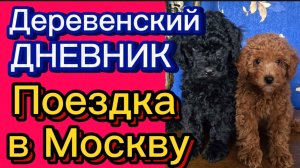 ДЕРЕВЕНСКИЙ ДНЕВНИК ОЧЕНЬ МНОГОДЕТНОЙ МАМЫ. «Поездка в Москву»