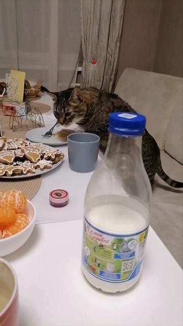 Диета смотреть онлайн