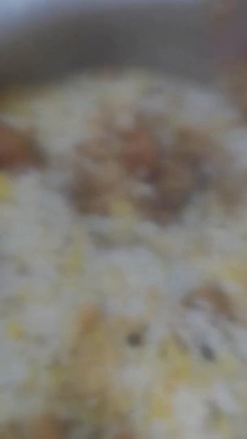 kacchi biryani смотреть онлайн