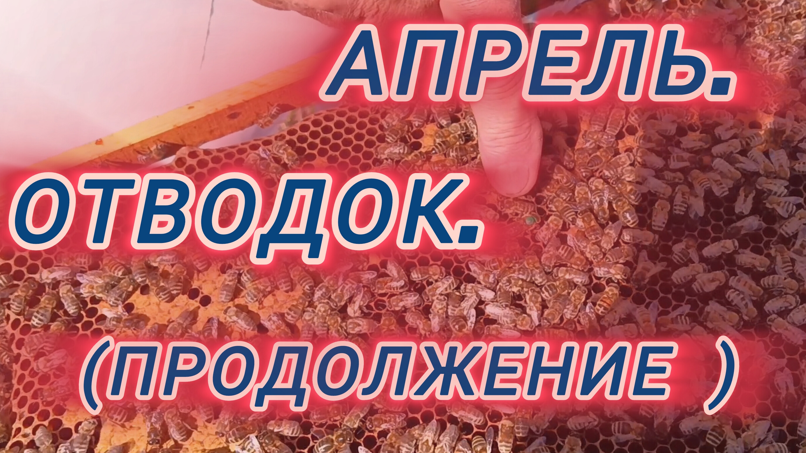 Апрель.Отводок.(продолжение) смотреть онлайн