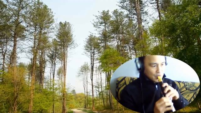 Norah jones - Tell yer mama // Goanzi - chia instrument 관지 중국악기 смотреть онлайн