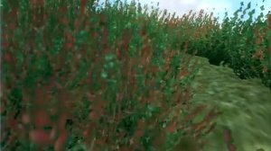 Трава в Обливион