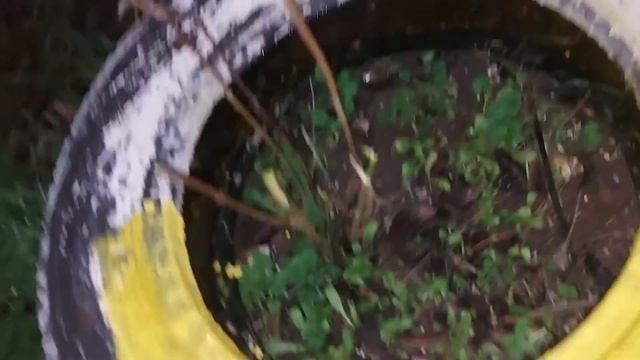 Красоту на вожу!!! смотреть онлайн