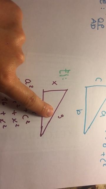 ejercicio triangulo rectangulo смотреть онлайн