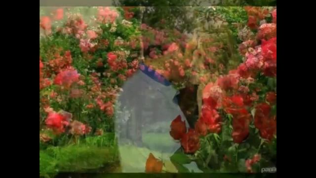 Олег Чуприн - Моя женщина (живой кавер)(27.02.14) смотреть онлайн