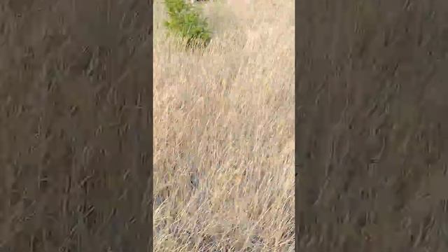 10-in-1 hubcap search! Highway смотреть онлайн