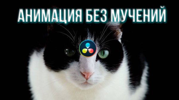 Движение логотипа без покадровой анимации в DaVinci Resolve | Просто нарисуй путь!