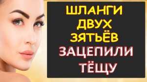 Порно - Тёщу зацепило не нашутку...Интересные истории из жизни.
