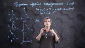 68. Признаки подобия прямоугольных  треугольников. 9 класс