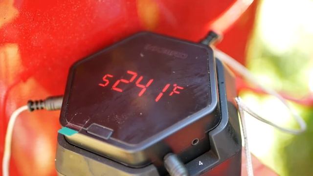 INKBIRD 6 Probe review смотреть онлайн