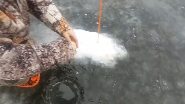 Pike fishing смотреть онлайн