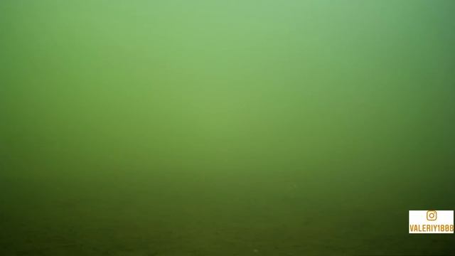 Подводная видеосъемка смотреть онлайн