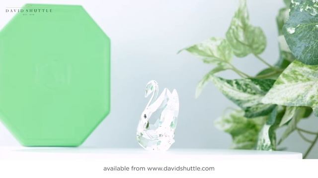 Swarovski Iconic Swan Small смотреть онлайн