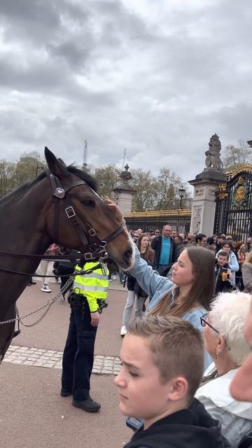 Girl is petting horse in front of Buckingham Palace #shorts #buckinghampalace #kingscoronation смотреть онлайн