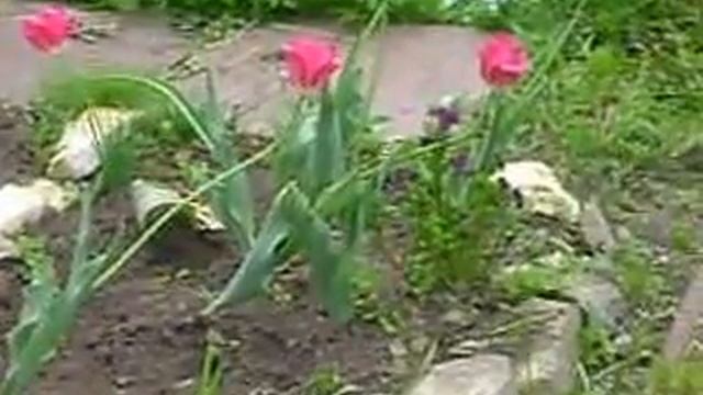 MOV08792 смотреть онлайн