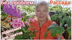 Скоро переезд.РАССАДА Посадила в ПЛОХОЙ ГРУНТ и вот результат.Герань-подкормка для цветения