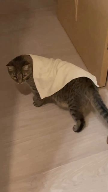 Тоже мне проблема смотреть онлайн