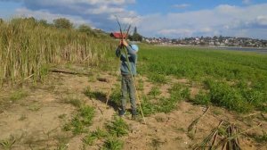 Как построить шалаш на берегу для выживания