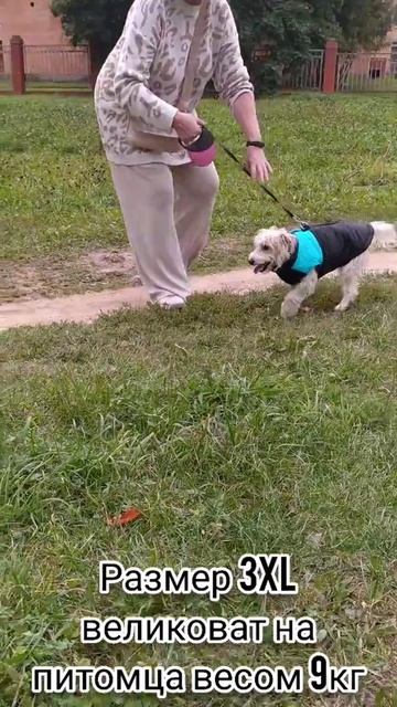 Качественный зимний жилет для собак 🔥