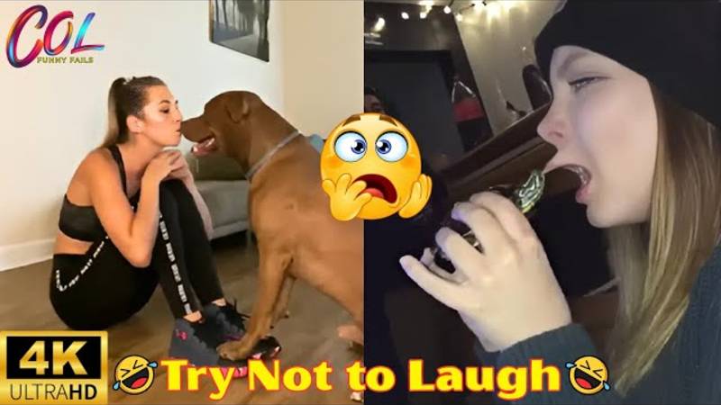 Самые смешные провалы животных и людей 2025 года смотреть онлайн