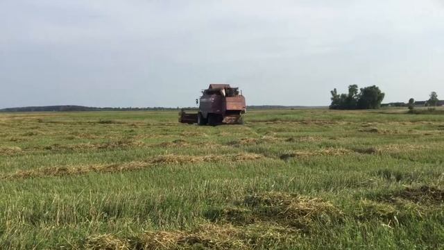 Уборка озимой ржи в Беларуси 2018! смотреть онлайн