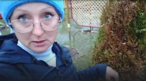 Видео привет с 6 соток. Прогноз погоды на сегодня. 28 апреля 2021 год