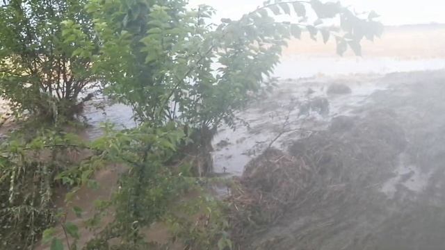 Такого никто не ожидал!!! Чуть не смыло нуклеусы, 1 -е августа 2022. смотреть онлайн