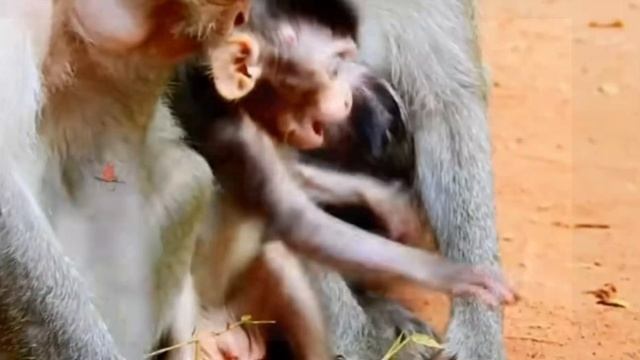 Я сегодня в твоих планах, Mom? 1000046710.mp4 смотреть онлайн