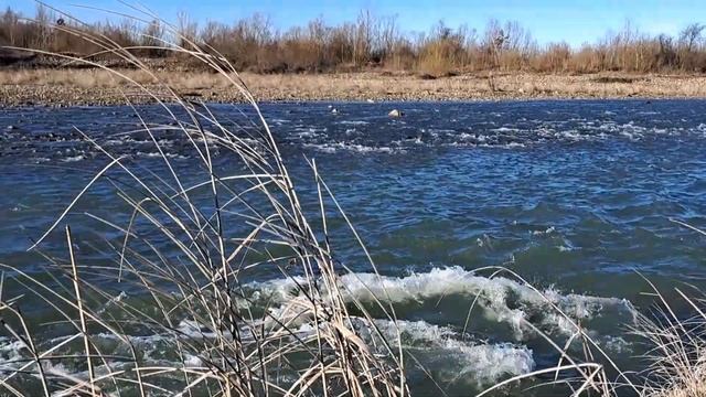 @Гульмира Избасханова-"Махаббат жыры" @ Gulmira Izbaskhanova смотреть онлайн
