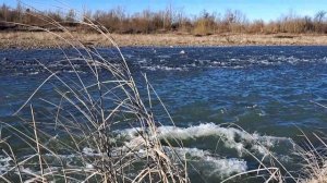 @Гульмира Избасханова-"Махаббат жыры" @ Gulmira Izbaskhanova