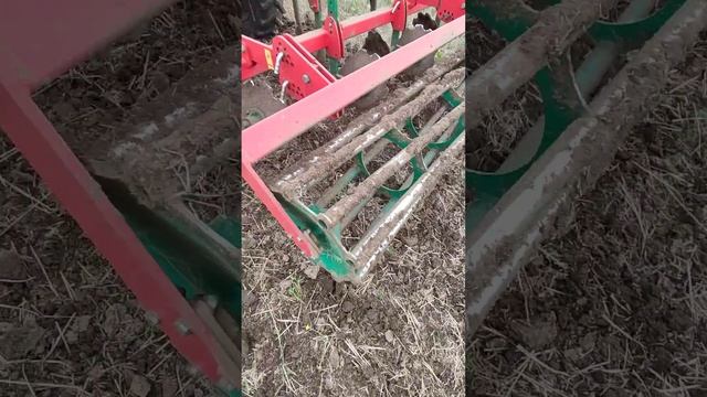 Культиватор стерневой универсальный КСУ
