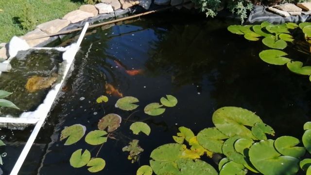 🔴ДОПОЛНИТЕЛЬНАЯ ФИЛЬТРАЦИЯ ДЛЯ ЧИСТОЙ И ПРОЗРАЧНОЙ ВОДЫ.👌👍 БЕРИТЕ НА ЗАМЕТКУ. 🔥СИНТЕПОН смотреть онлайн