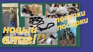 ВЛОГ: ПОКУПКИ, ПОДАРКИ, ПОГОДА И БЫТ)