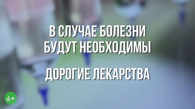 Соцпакет смотреть онлайн