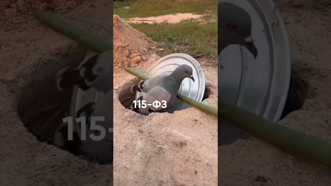 Как избежать блокировки – в ТГ @schetovod2006 #бизнес #115фз