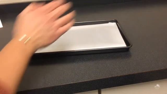 Shrin(Key) Dinks: Grab n' Go смотреть онлайн