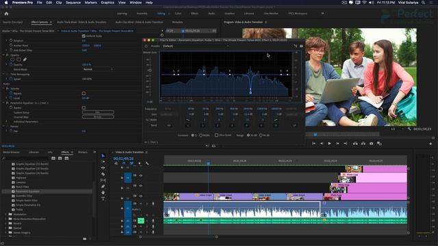 How to Reduce Echo with Parametric EQ Effect in Adobe Premiere Pro - Adobe Hindi Tutorial смотреть онлайн