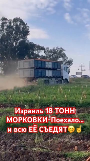25 апреля 2024 г. смотреть онлайн