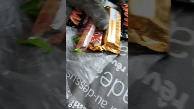 Арина ( я рил еду в отпуск) 💕💓🩷🩷🇷🇺🇷🇺🇷🇺🇷🇺🇷🇺🇷🇺🍫💗💞