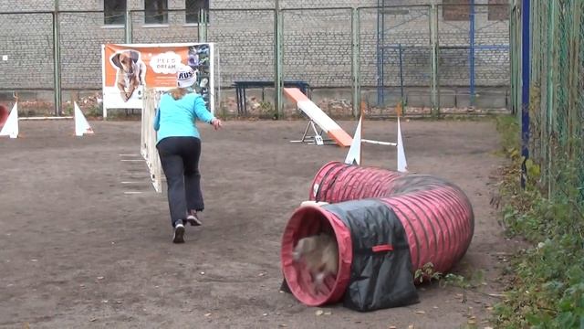 Опен M адж Чиж Валерия шелти Граф смотреть онлайн