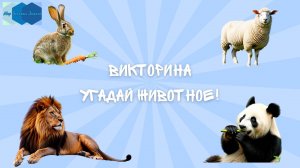 Викторина  "Угадай животное!" 🐶🦁🐮🐰🐼