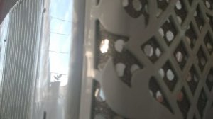 Виновата черемуха белая, песня под гармонь, цифры 89277382068