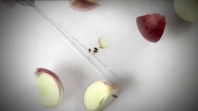 MantovaExcellence.com: Azienda Agricola Senga