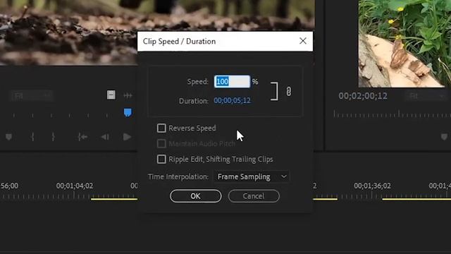 REVERSE VIDEO | SPEED DIRECTION | ADOBE PREMIERE PRO (URDU-HINDI) смотреть онлайн