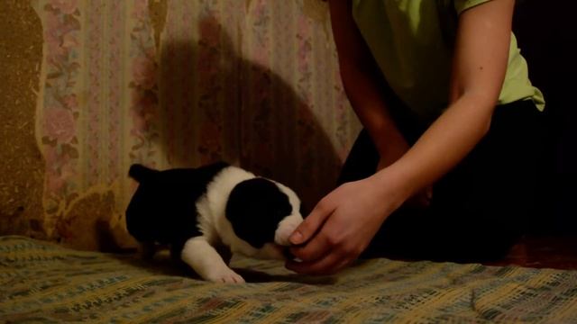 ОЕССЕНН СТИЛЬ Сильвия 19дней смотреть онлайн