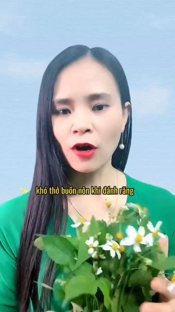 Công dụng chữa bệnh bất ngờ từ cây xuyến chi смотреть онлайн