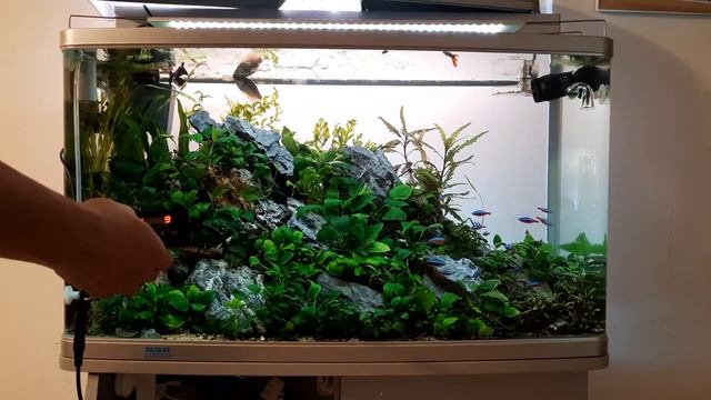 Chihiros Serie A 601 Plus