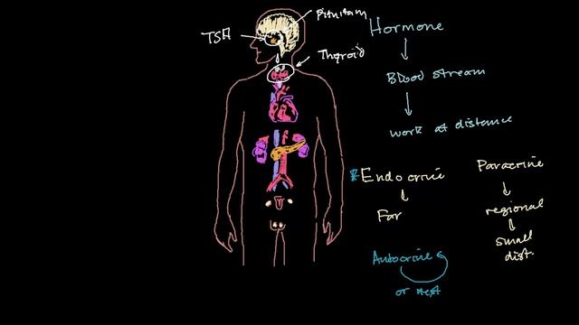 Intro to the endocrine system | Health & Medicine | Khan Academy смотреть онлайн