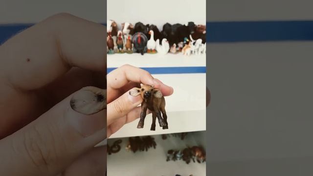 Обзор на schleich Гремучая змея и телёнок африканского буйвола￼ смотреть онлайн